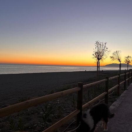 Casa Las Toro Playa チルチェス エクステリア 写真